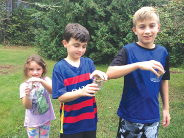 Bolton siblings Briana, Brenden and Sean hold monarch butterflies that are ready for flight. Release day was the culmination of a 4-week, unplanned rescue mission.                                                                                            Courtesy